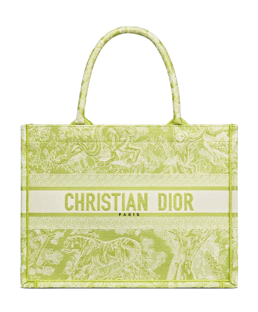 Christian Dior Book Tote Velvet Mizza Embroidery Canvas Green